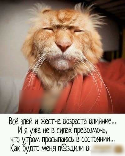 Всё шеи и жестче возраста ВЛИЯНИЕ Ия уже не в силах превозмочь что утром просыпаюсь в состоянии Как будт меня п3дили в