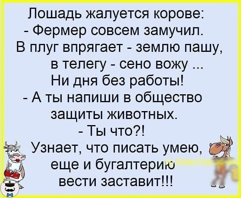 Лошадь жалуется корове Фермер совсем замучип В ппуг впрягает земпю пашу в тепегу сено вожу Ни дня без работы А ты напиши в общество защиты животных Ты что _ Узнает что писать умею еще и бугаптерию вести заставит