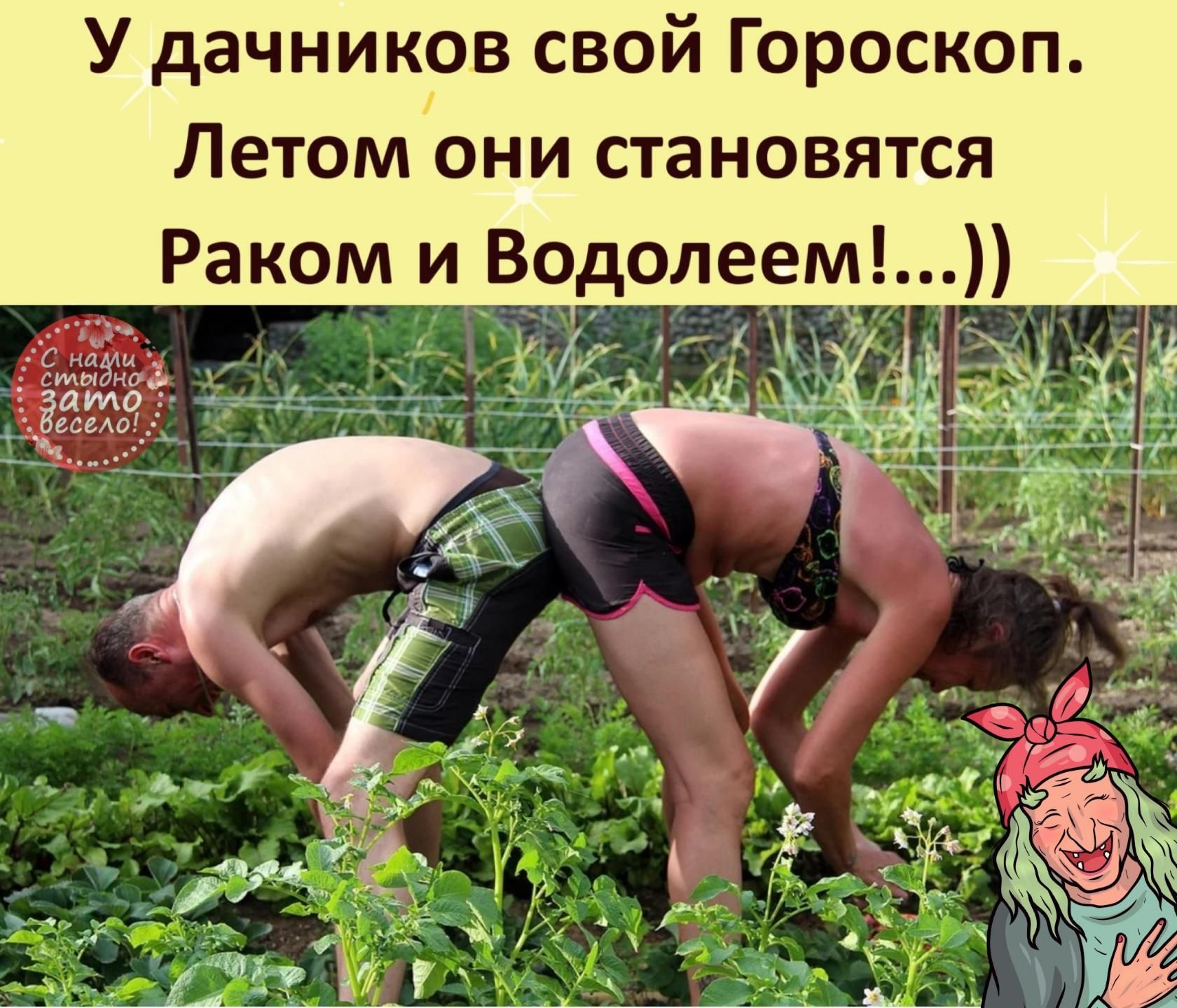 У дачников свой Гороскоп Летом они становятся