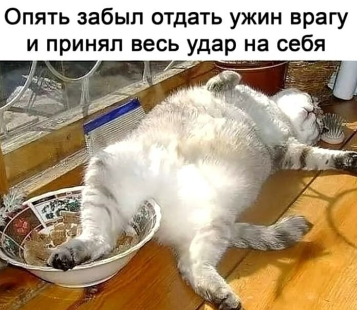 Опять забыл отдать ужин врагу
