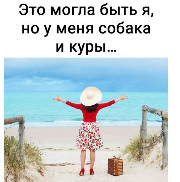 Это могла быть я но у меня собака и куры