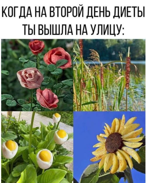 КОГДА НА ВТОРОЙ ДЕНЬ ДИЕТЫ ТЫ ВЫШЛА НА УЛИЦУ