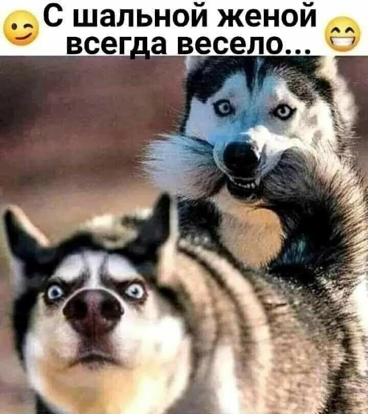 шальной женой всег_а весело С