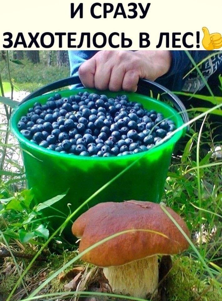 И СРАЗУ