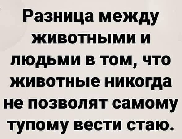 Разница между животными и людьми в том что животные никогда не позволят самому тупому вести стаю