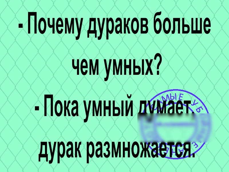 Почему дураков больше чем умных Покаумный дурак размн0