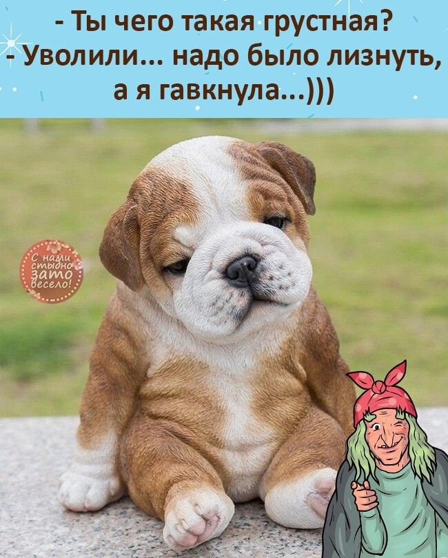 ТЫ чего такая грустная Уволили надо быію лизнуть а я гавкнула