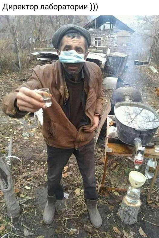 Директор лаборатории