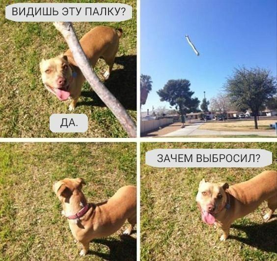 ВИДИШЬ ЭТУ ПАПКУ