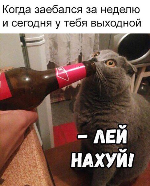 Когда заебапся за неделю и сегодня у тебя выходной ЁЁ дей ндхуй