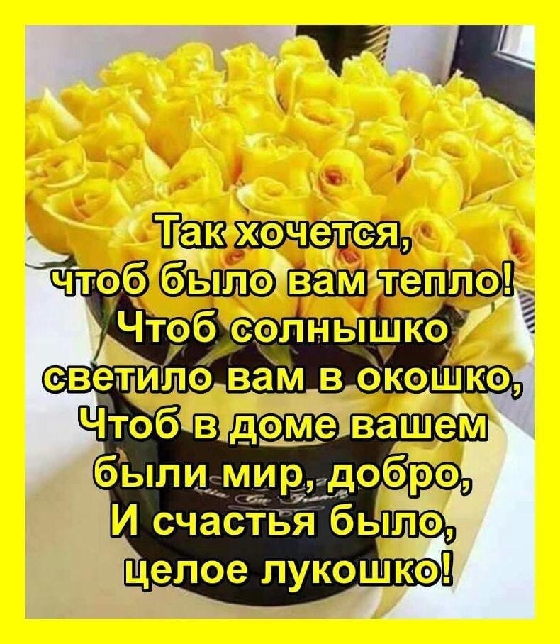 Так хочется чтоб быЛо вамт былимир добро г и И счастья былэ целое пукошкэП