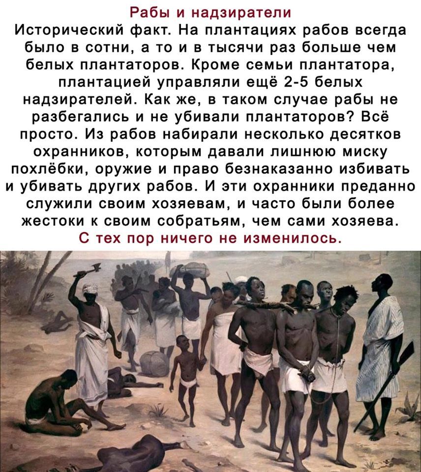 Рабы и надзиратепи Исторический факт На плантациях рабов всегда было в сотни а то и в тысячи раз больше чем белых ппантаторов Кроме семьи ппантатора плантацией управляли ещё 2 5 белых надзирателей Как же в таком случае рабы не разбегались и не убивали плантаторов Всё просто Из рабов набирали несколько десятков охранников которым давали лишнюю миску похпёбки оружие и право безнаказанно избивать и у