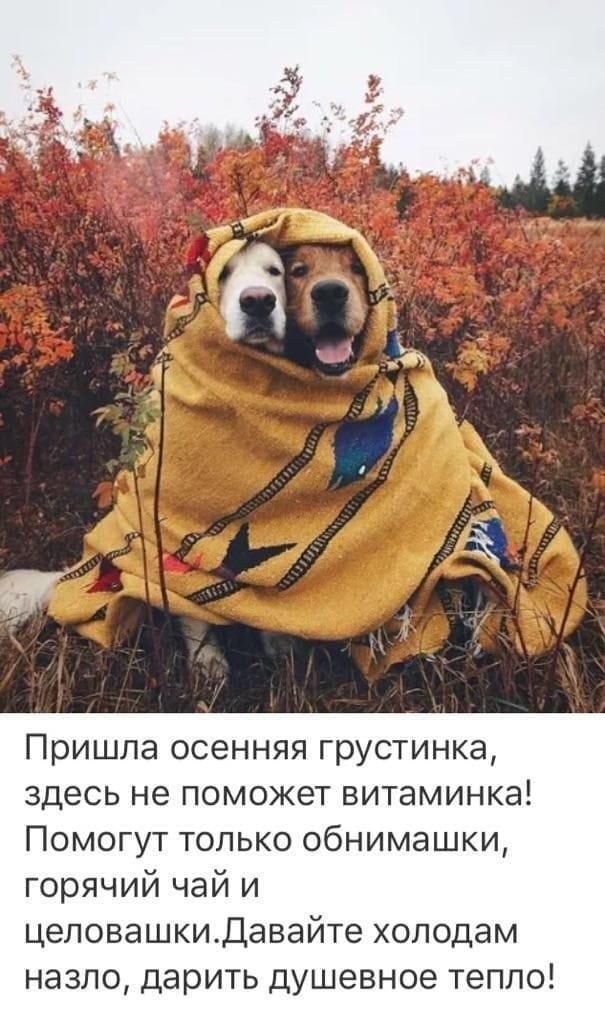 Пришла осенняя грустинка здесь не поможет витаминка Помогут только обнимашки горячий чай и целовашкидавайте холодам назло дарить душевное тепло
