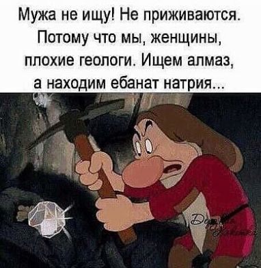 Мужа не ищу Не приживаются Потому что мы женщины плохие геологи Ищем алмаз а находим ебанат натрия
