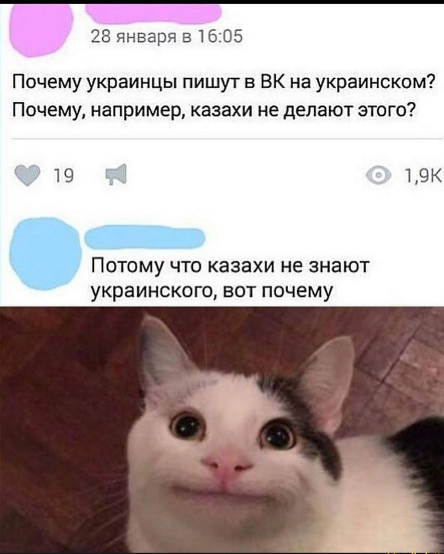 28 января 516105 Почему украинцы пишут 8 ВК на украинском Почему например казахи не делают этого 19 19К Потому что казахи не знают украинского вот почему