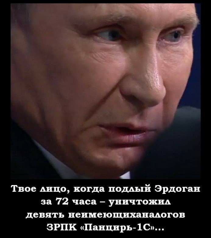 Твое шло когда подлый Эрдоган за 72 часа уничтожид девять неинеющнханмогов ЗРПК Панцирь 1С