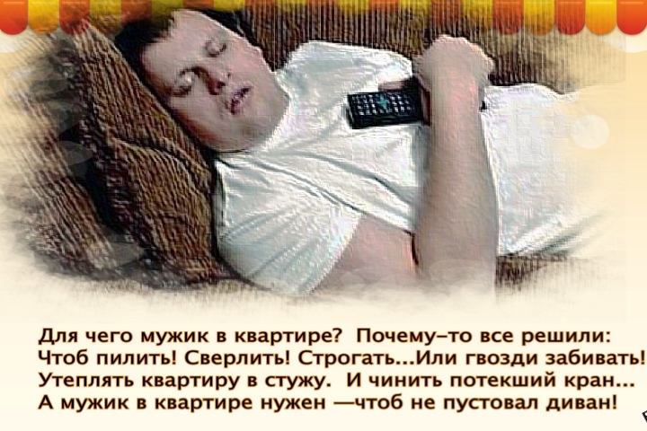 для чего мужик в квартире Почемуто все решили Чтоб пилить Сверлить СтрогатьИли гвозди забивать Утеппять квартиру в стужу И чинить потекший кран А мужик в квартире нужен чтоб не пустовал диван
