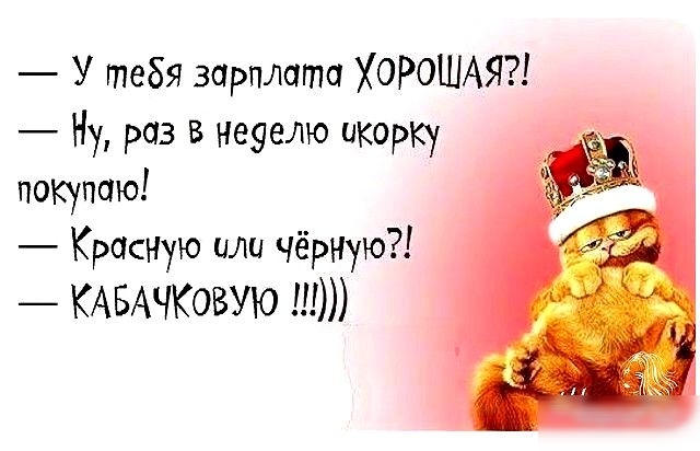 У тебя зарплата ХОРОШАЯ Ну раз в неуелю икорку покупаю Красную или чёрную КАБАЧКОВУЮ