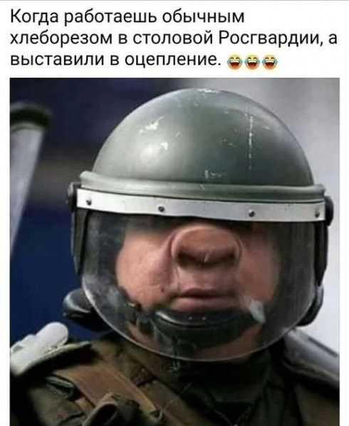 Когда работаешь обычным пеборезом столовой Росгвардии а выставили в оцепление 5 Ч