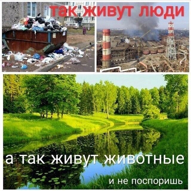 1 а такживТн ые 77 И не ПОСПОРИШЬ