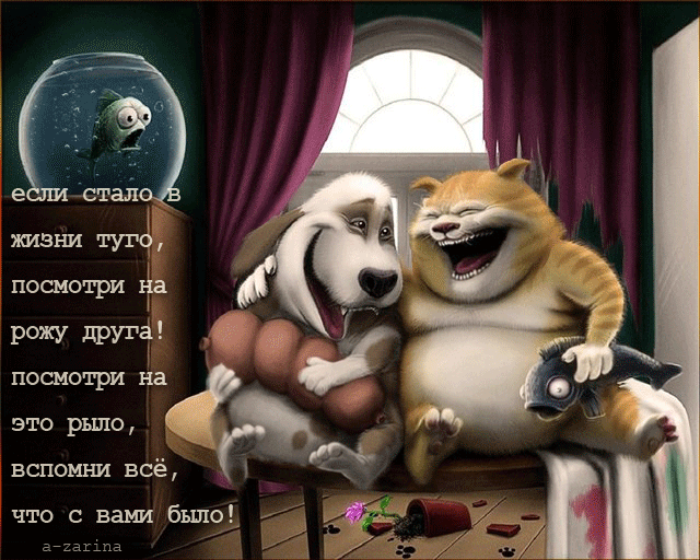 это рыло вспомни всё что с вами было