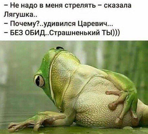Не надо в меня стрелять сказала Лягушка Почемуудивипся Царевич БЕЗ ОБИДСтрашненыий ТЬ