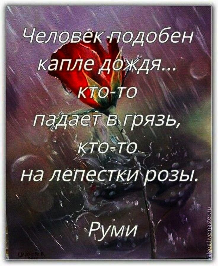 1 жд дж ЧеловекЗодобен капле Двждя ъ кио то на лепесткиршы РУМИ