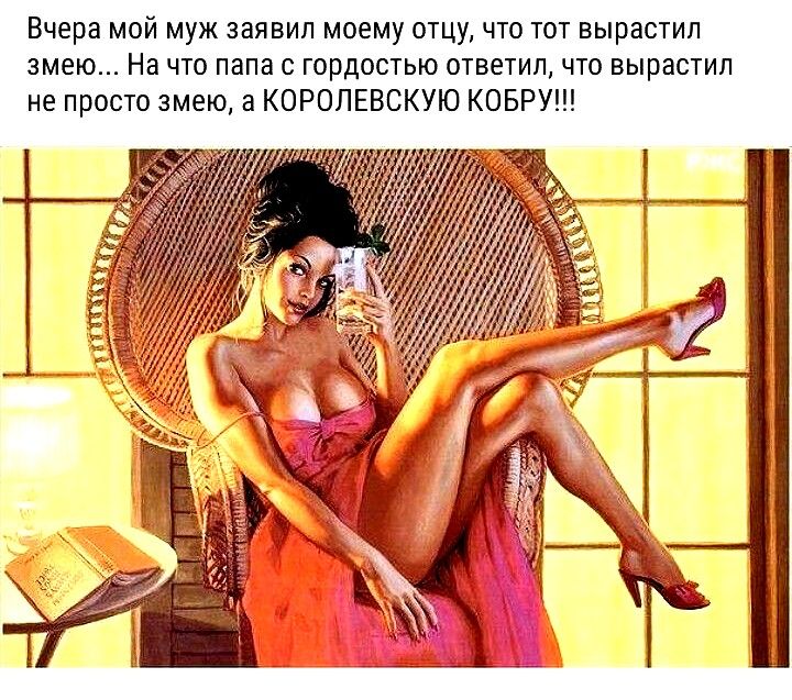 Вчера мой муж заявил моему отцу что тот вырастил змею На что папа с гордостью ответил что вырастил не просто змею а КОРОЛЕВСКУЮ КОБРУ
