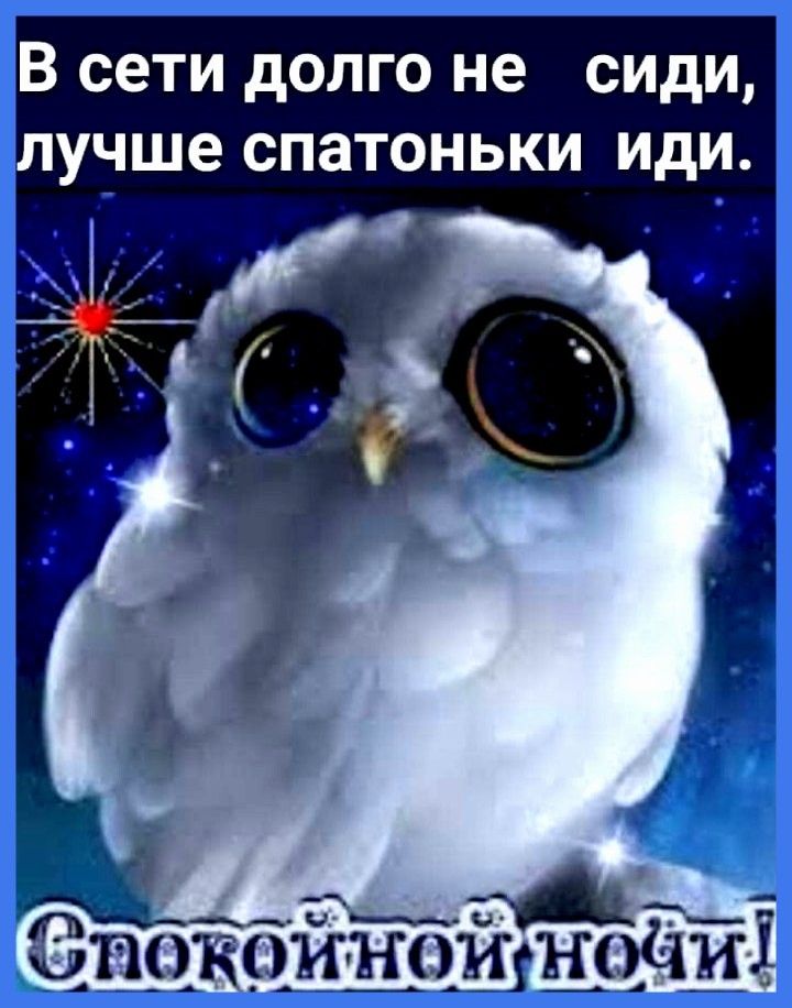 В сети долго не сиди лучше спатоньки иди