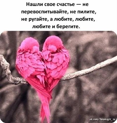 Нашли свое счастье не перевоспитывайте не пилите не ругайте а любите любите любите и берегите 1 ш эттмам и ц