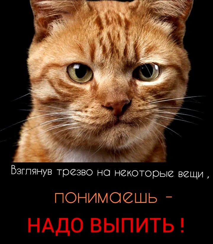 Бзгпянув трезво но некоторые вещи ПОНИМСЁИШЬ _