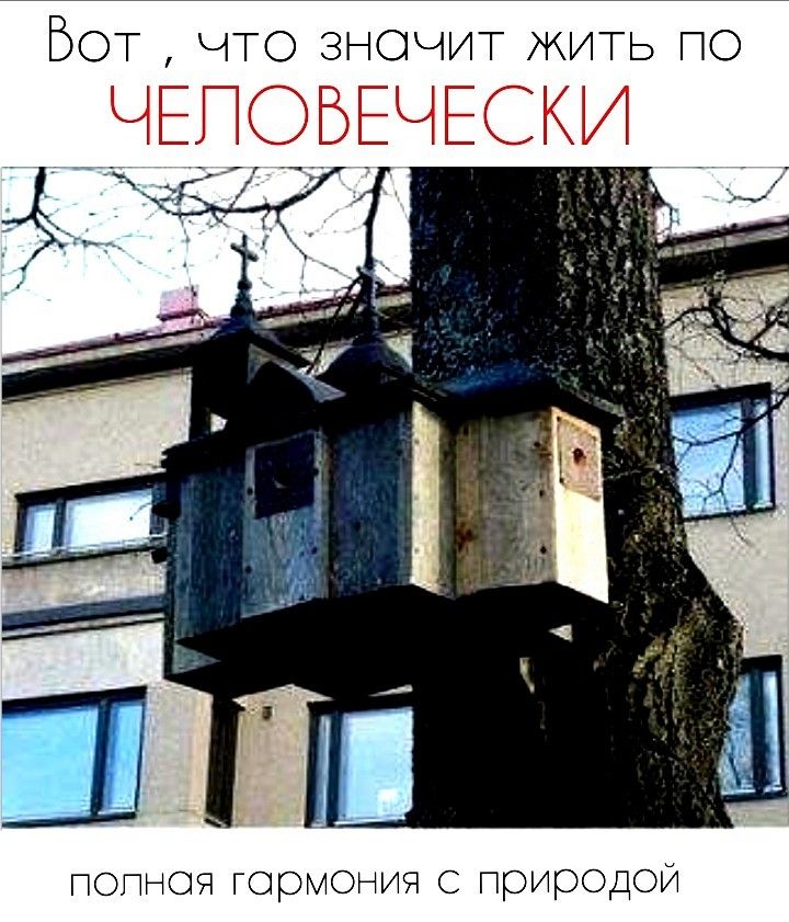 Бот что значит ЖИТЭ по _ЧЕПЧБЕЧЕСКИ попноя гормония с природой