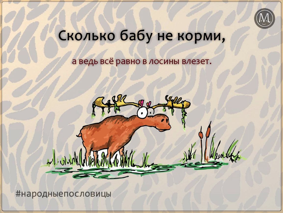 Сколько бабу не корми а ВЕДЬ ВСё равно В ЛОСИНЫ ВЛЕЗЕТ НарОДНЫЕПОСЛОВИЦЫ