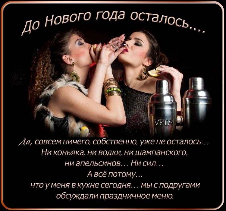 оВОГО ГОДа ОСТЭЛОСЬ Да совсем ничего собственно уже не осталось Ни коньяка ни водки ни шампанского ни апельсинов Ни сип А всё потому что уменя в кухне сегодня мы с подругами обсуждали праздничное меню