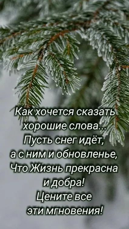 хорошие слова в