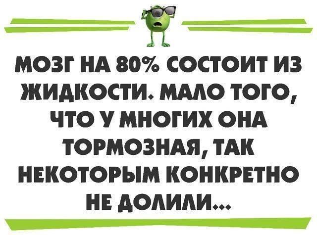 мозг НА 80 состоит из жидкости ммо того что у многих онд тормозит тАк нвкотогым конкрвтно нв допиди