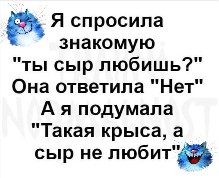 в Я спросила а знакомую ты сыр любишь Она ответила Нет А я подумала Такая крыса а сыр не любит