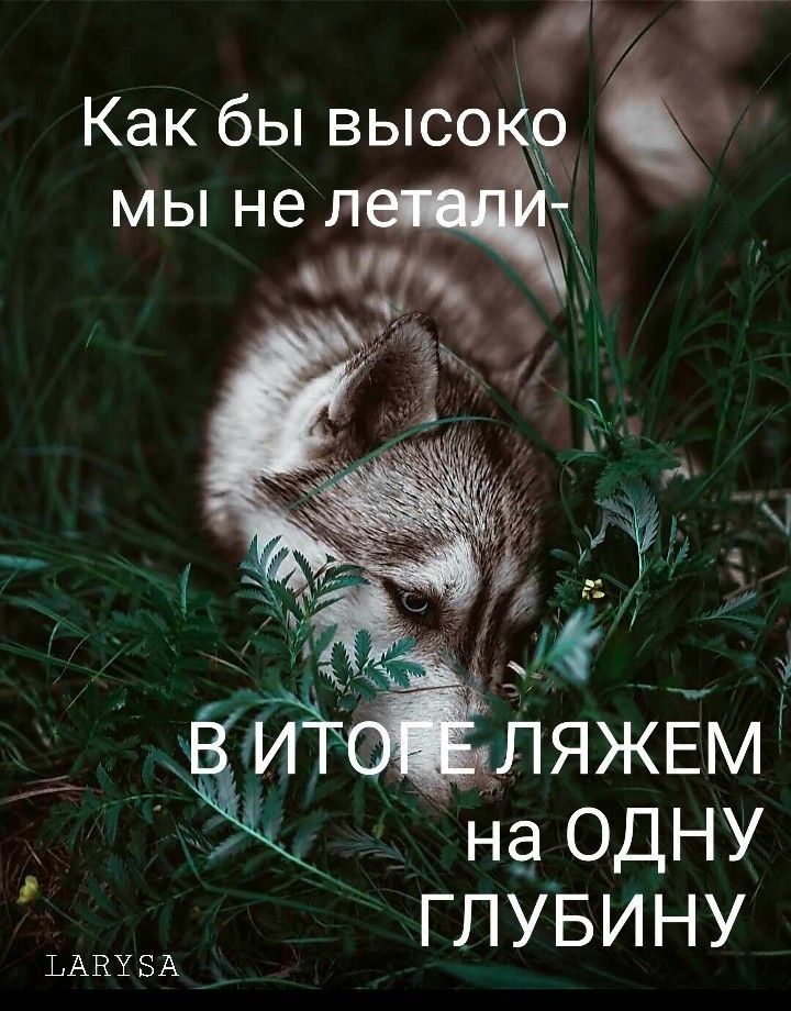 глУБину ЬАВЁ БА