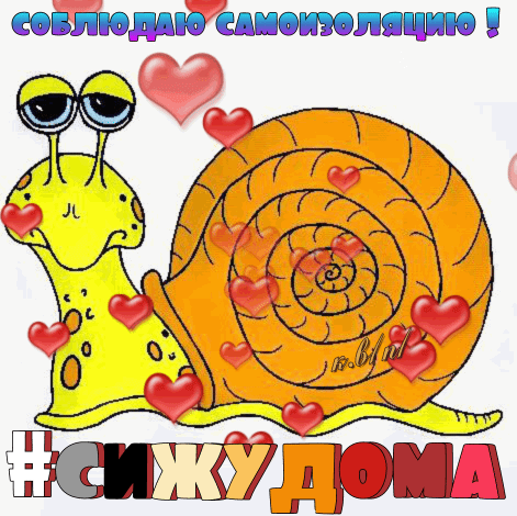 СОШЩДДЮ ШОЩДЦЦЦЮ