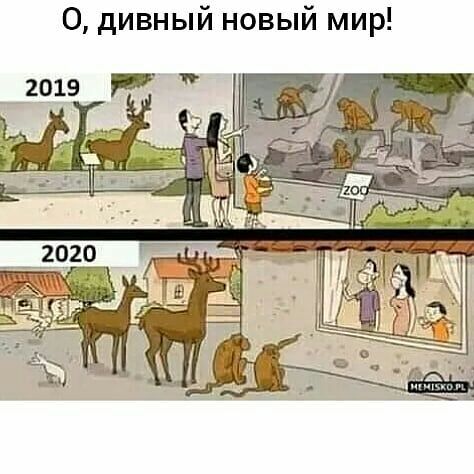 0 дивный новый мир