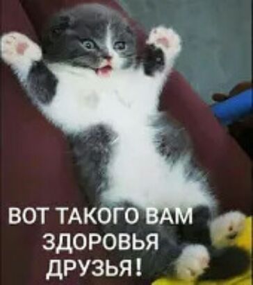 ВОТ ТАК О ЗДОРОВЬЯ ДРУЗЬЯ _