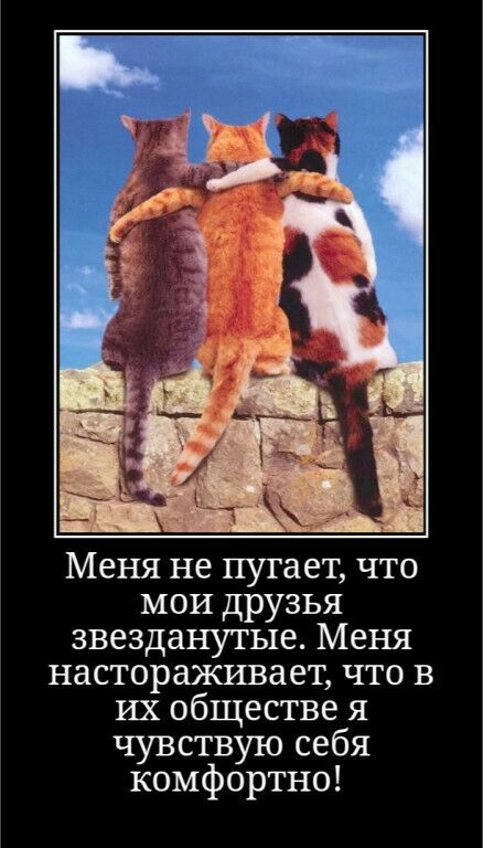 Меня не пугает что МОИ друзья звезданутые Меня настораживает что в их обществе я чувствую себя комфортно