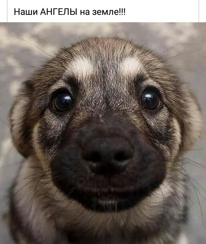 Наши АНГЕЛЫ на земле