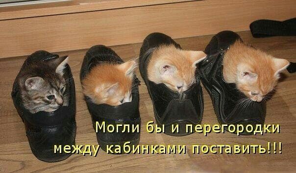 АНКЗМИ ПОСГЫЗ