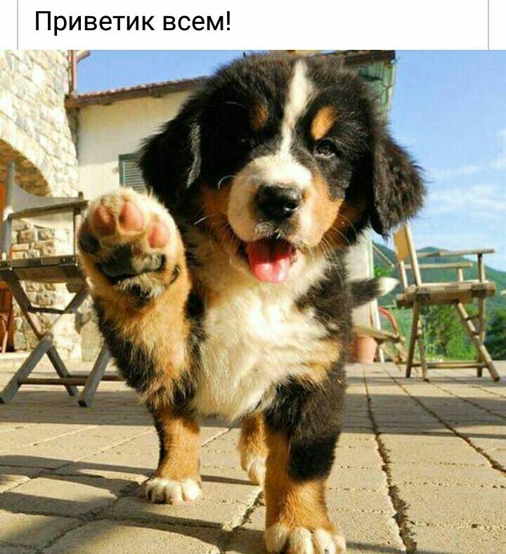 Приветик всем