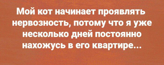 Мой кот наЧинает проявлять нервозность поТому что я уже несколько дней постоянно нахожусь в его квартире