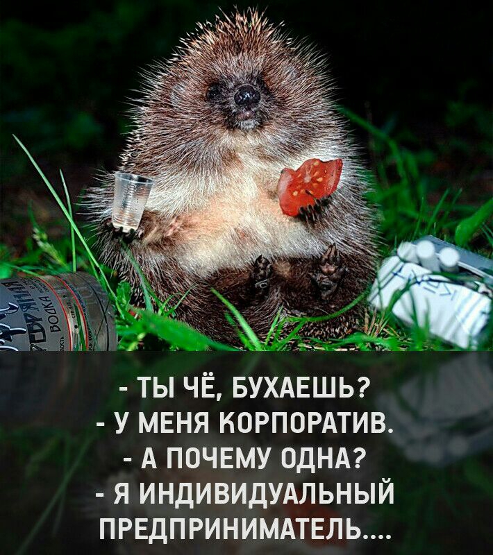 ТЫ ЧЁ БУХАЕШЬ У МЕНЯ КОРПОРАТИВ А ПОЧЕМУ ОДНА Я ИНДИВИДУАЛЬНЫЙ ПРЕДПРИНИМАТЕЛЬ