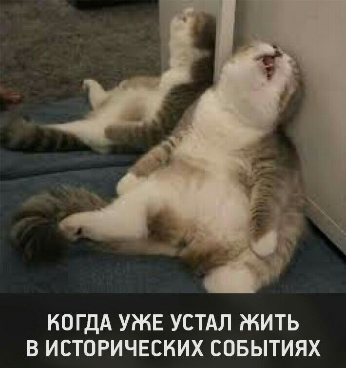 КОГДА УЖЕ УСТАЛ ЖИТЬ В ИСТОРИЧЕСНИХ СОБЫТИЯХ