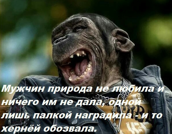 ЛИШЪ палкой над кая ХБДЙЁЙ 0 бзвала АМ