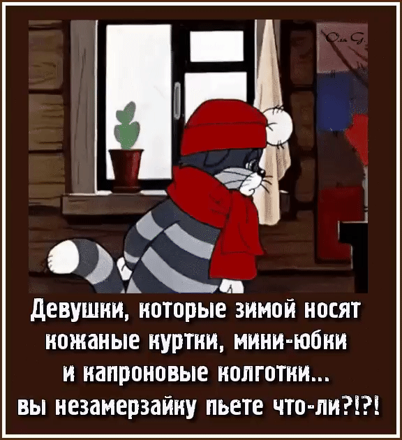 девушки которые зимой носят кожаные куртки мики юбки к капроновые колготки вы незамерзайку пьете что ли